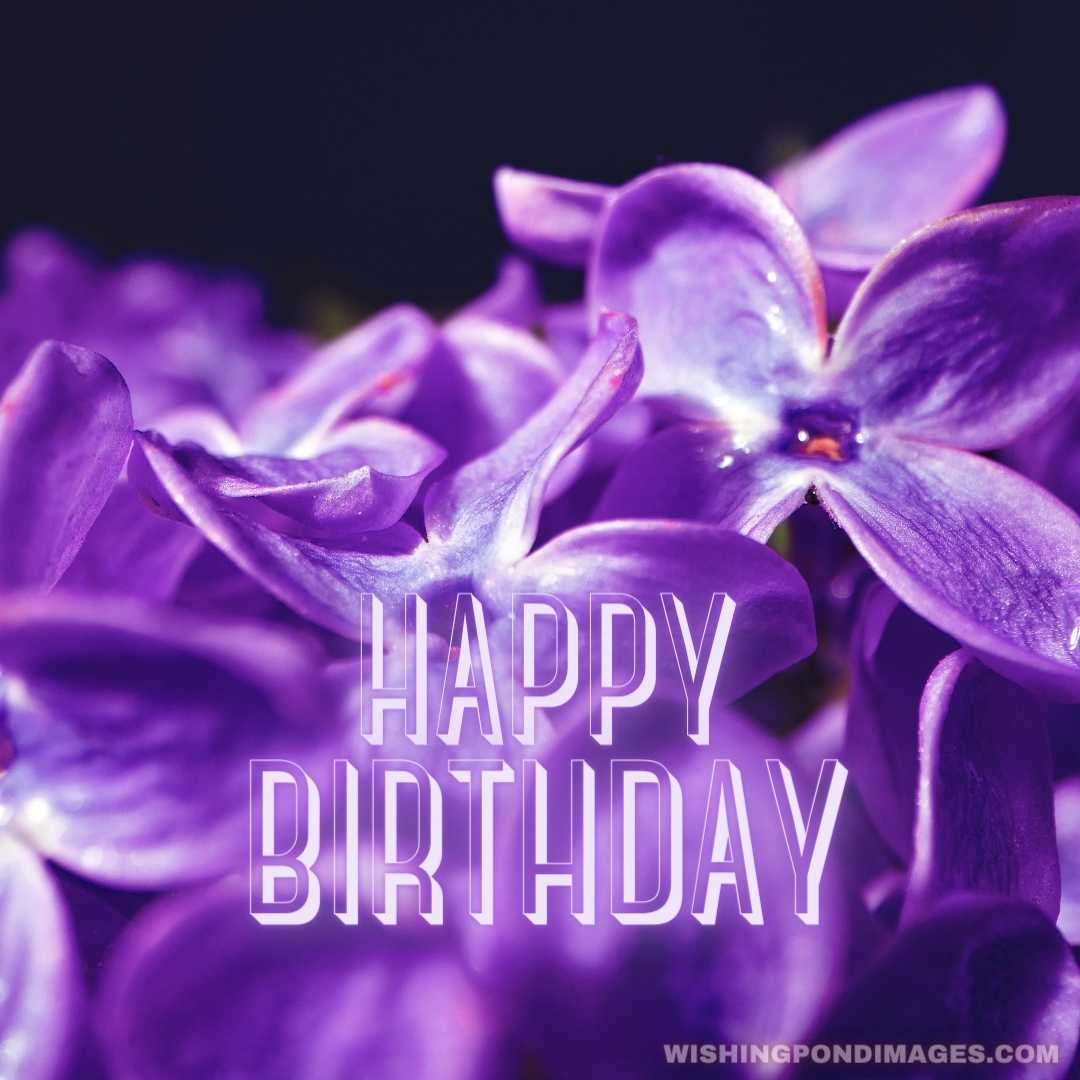 An image of spring lilac violet flowers - Happy Birthday Flower Images